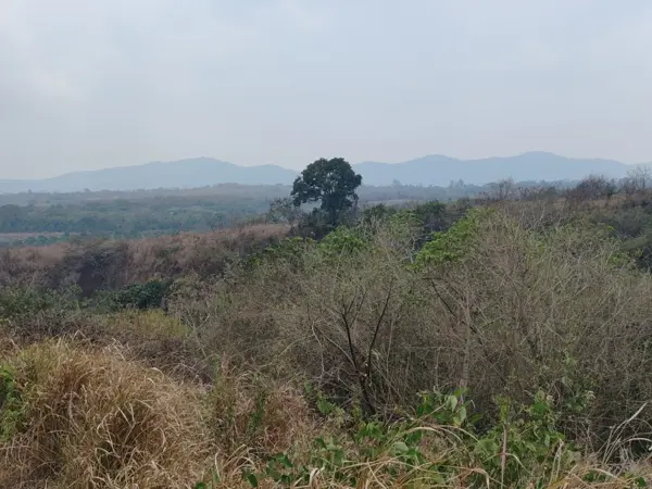 Terreno en venta en Corral Falso, Emiliano Zapata — foto 3 de 8