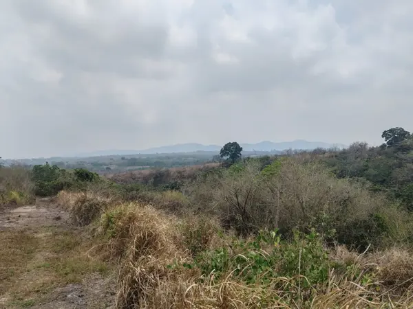 Terreno en venta en Corral Falso, Emiliano Zapata — foto 2 de 8