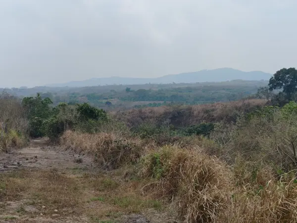 Terreno Lencero-Miradores