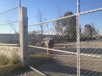 Terreno en renta en El Roble, Torreón — foto 2 de 5