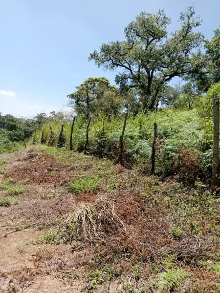 Terreno en venta en La Estanzuela, Emiliano Zapata — foto 2 de 6