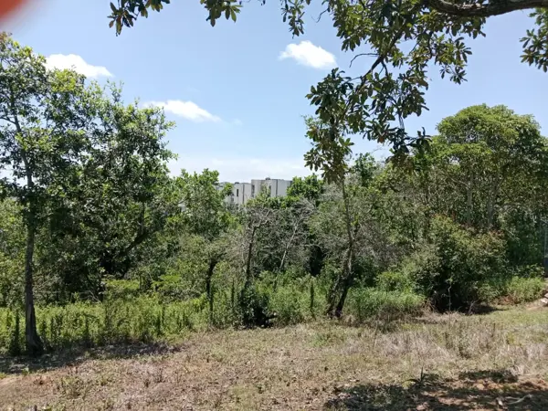 Terreno en venta en La Estanzuela, Emiliano Zapata — foto 3 de 6
