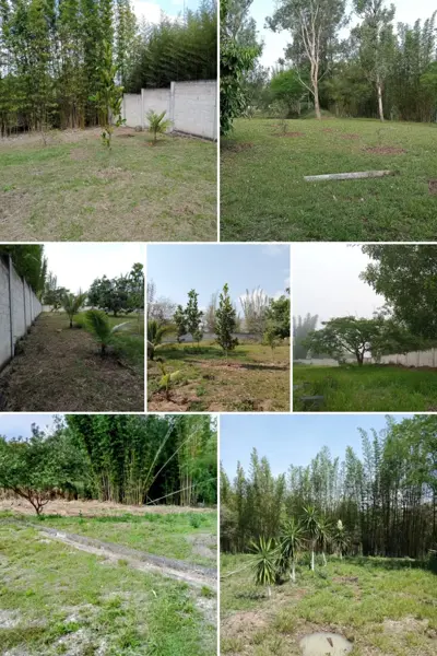Terreno en venta en Tres Pasos, Emiliano Zapata — foto 3 de 13
