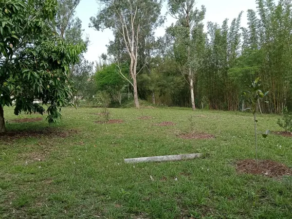Terreno en venta en Tres Pasos, Emiliano Zapata — foto 2 de 13