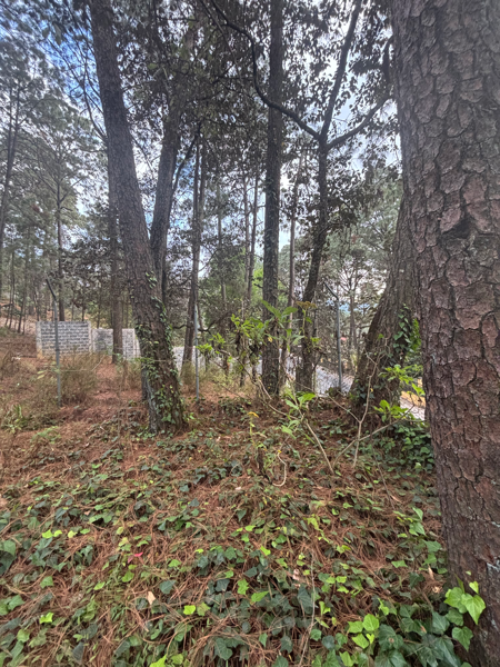 Terreno en renta en Avandaro, Valle de Bravo — foto 3 de 6