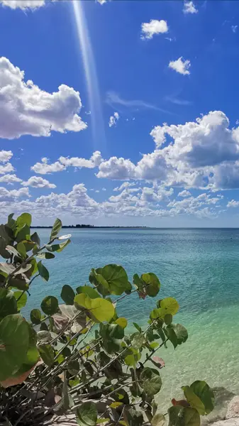 Terreno en venta en Centro Hunucmá, Hunucmá — foto 3 de 14
