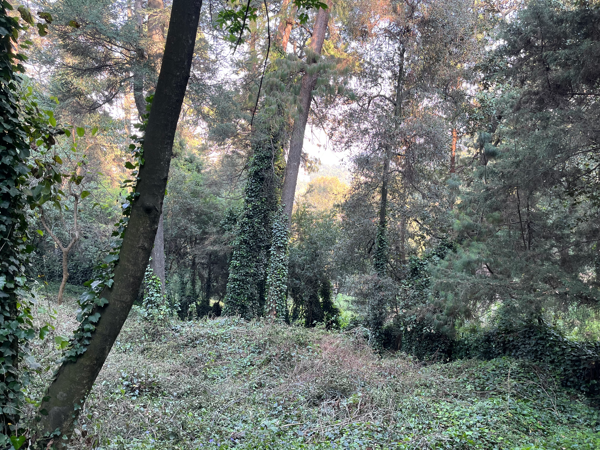 Terreno en venta en Santa Rosa Xochiac, Cuajimalpa de Morelos — foto 3 de 6
