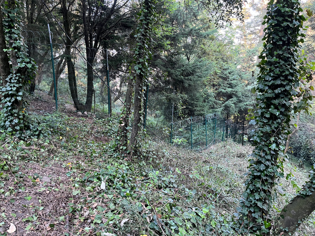 Terreno en venta en Santa Rosa Xochiac, Cuajimalpa de Morelos — foto 1 de 6