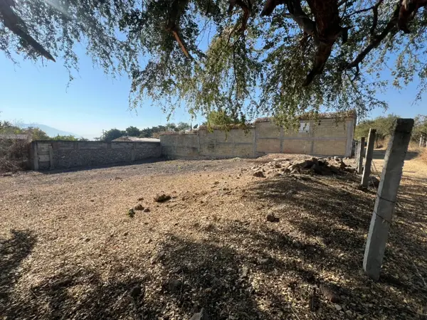 Terreno en venta en Vicente Guerrero, Zacatepec — foto 2 de 4