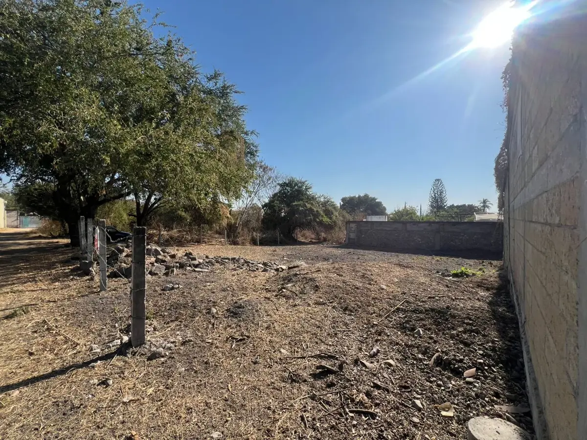 Terreno en venta en Vicente Guerrero, Zacatepec — foto 1 de 4