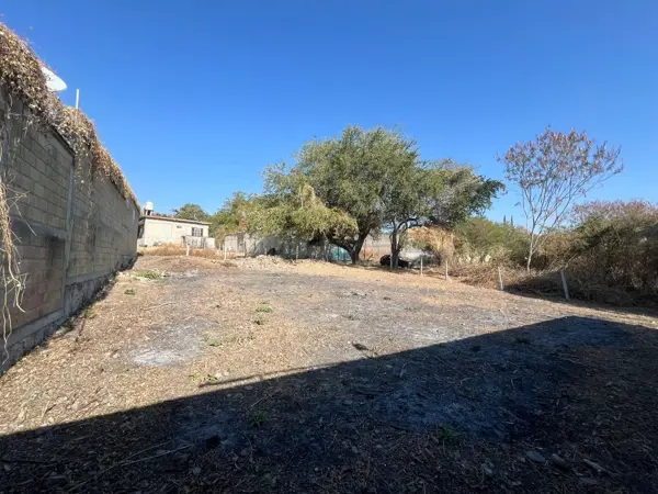 Terreno en venta en Vicente Guerrero, Zacatepec — foto 3 de 4