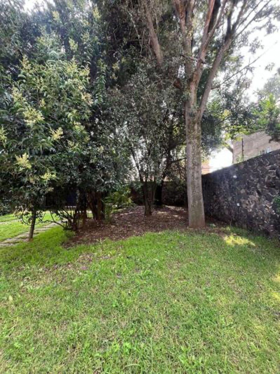 Casa en renta en Santa Maria Tepepan, Xochimilco — foto 1 de 3