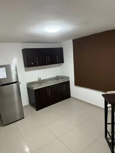 Departamento en renta en Del Bosque, Centro — foto 3 de 9