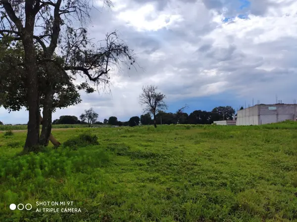 Terreno en venta en San Sebastian, San Pablo del Monte — foto 2 de 5