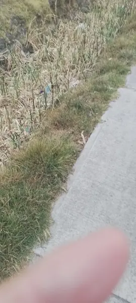 Terreno en venta en Xonacatlán, Xonacatlán — foto 3 de 11