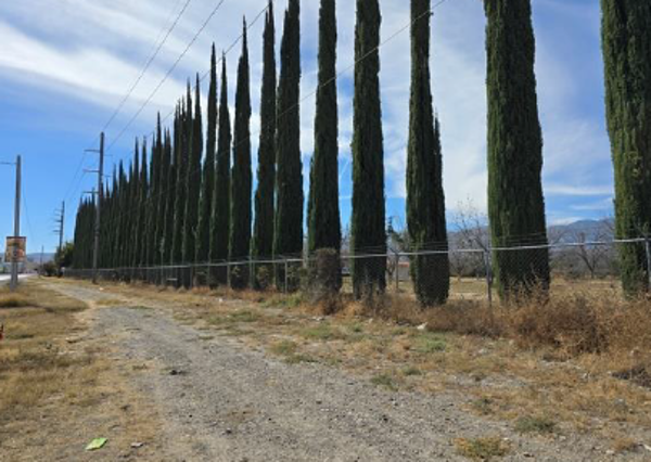 Quinta en venta en Parras, Parras — foto 3 de 11
