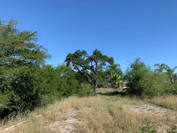Terreno en venta en El Terrero, Montemorelos — foto 2 de 5