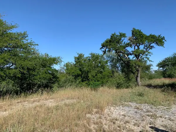 Terreno en venta en El Terrero, Montemorelos — foto 3 de 5