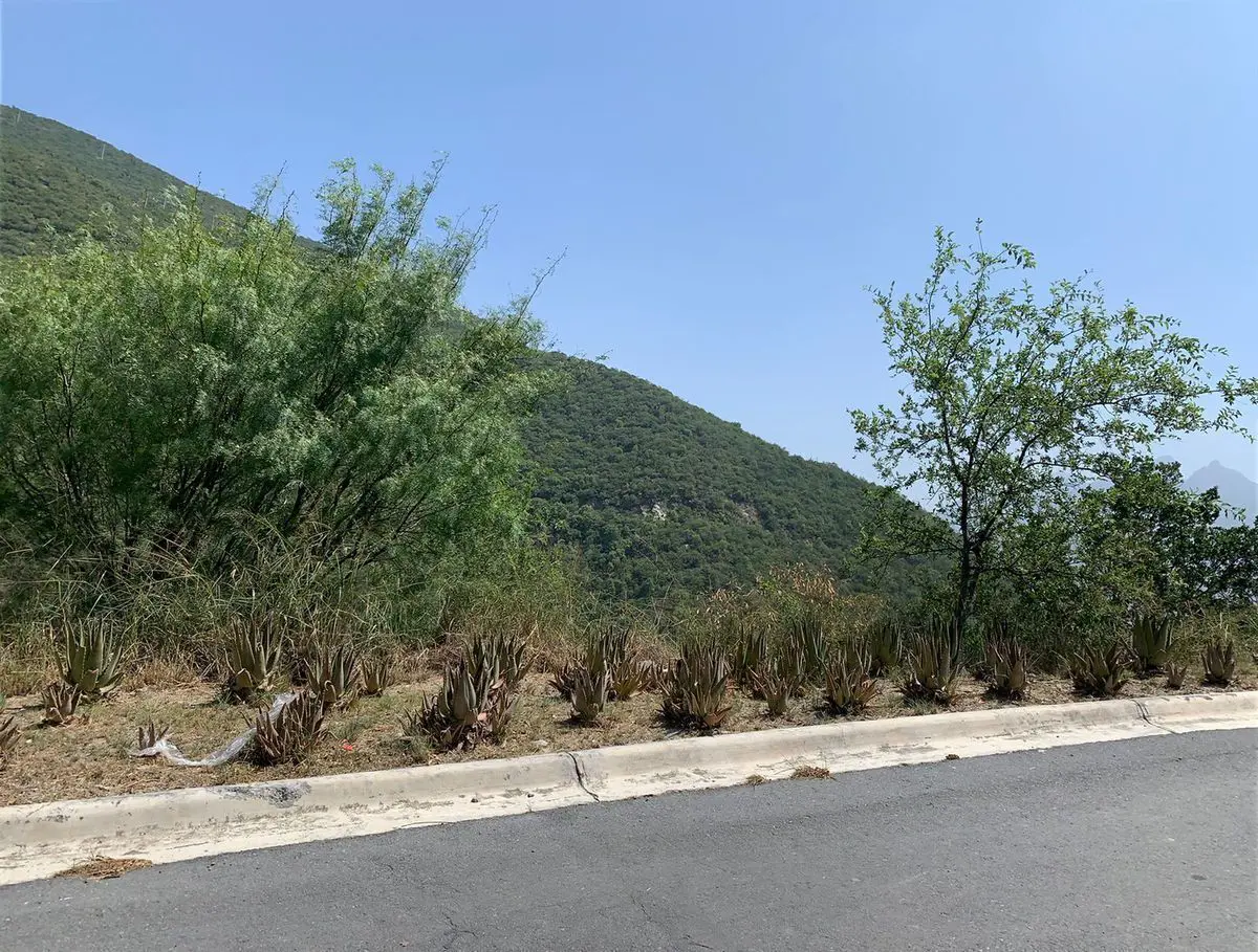 Terreno en venta en Renacimiento, Monterrey — foto 1 de 3