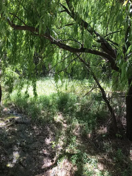 Terreno en venta en Los Lirios, Arteaga — foto 2 de 9