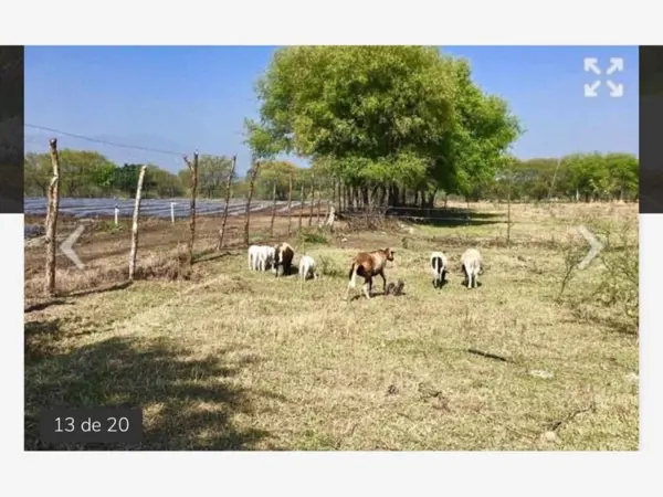 Terreno en venta en Congregación Calles, Montemorelos — foto 2 de 6