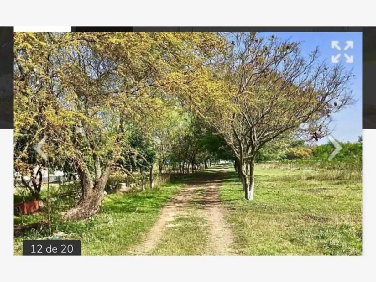 Terreno en venta en Congregación Calles, Montemorelos — foto 1 de 6