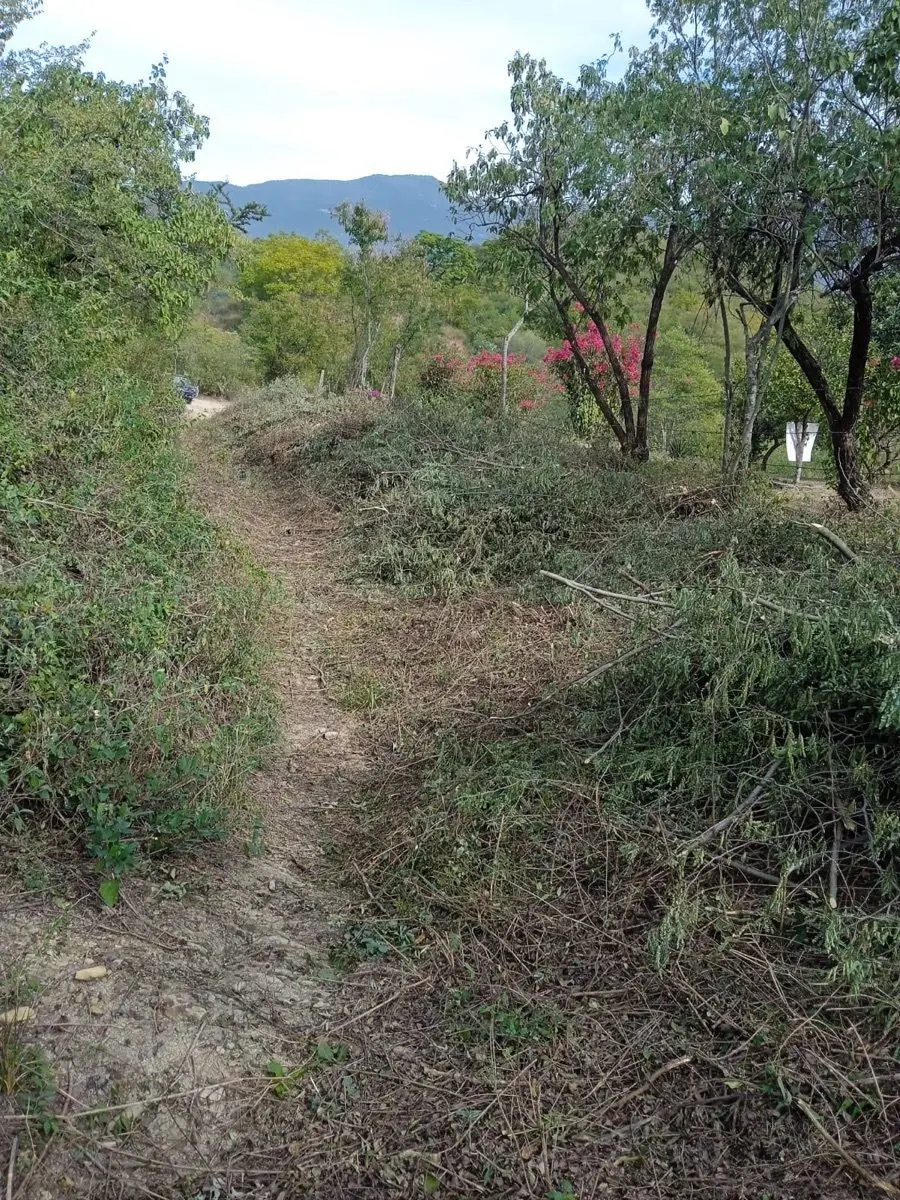 Terreno en renta en Santiago Centro, Santiago — foto 1 de 2