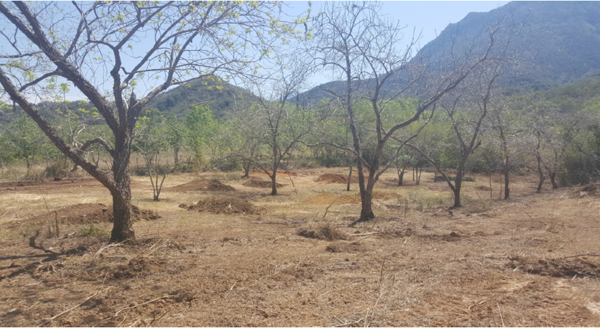Terreno en venta en La Colmena de Arriba, Allende — foto 1 de 7