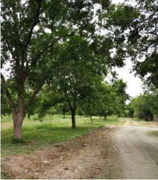 Terreno en venta en Lindavista, San Buenaventura — foto 3 de 8