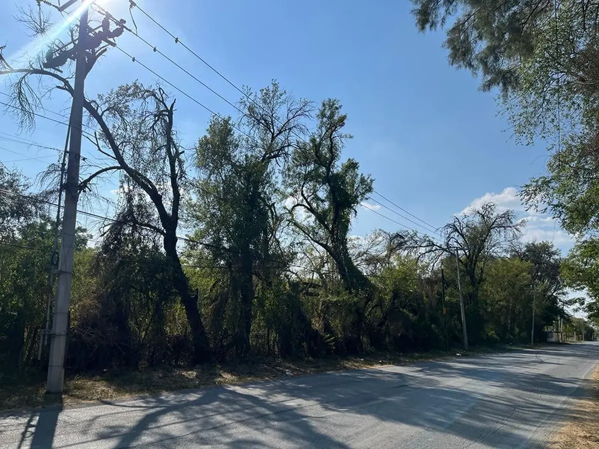 Terreno en venta en Montemorelos Centro, Montemorelos — foto 1 de 4