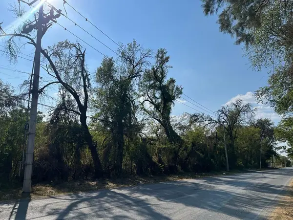 Terreno en Venta en el Centro de Montemorelos, Nuevo Leon