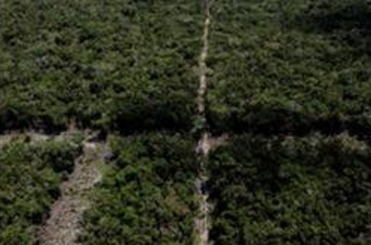 Terreno en venta en Kantunilkin Centro, Lázaro Cárdenas — foto 1 de 12
