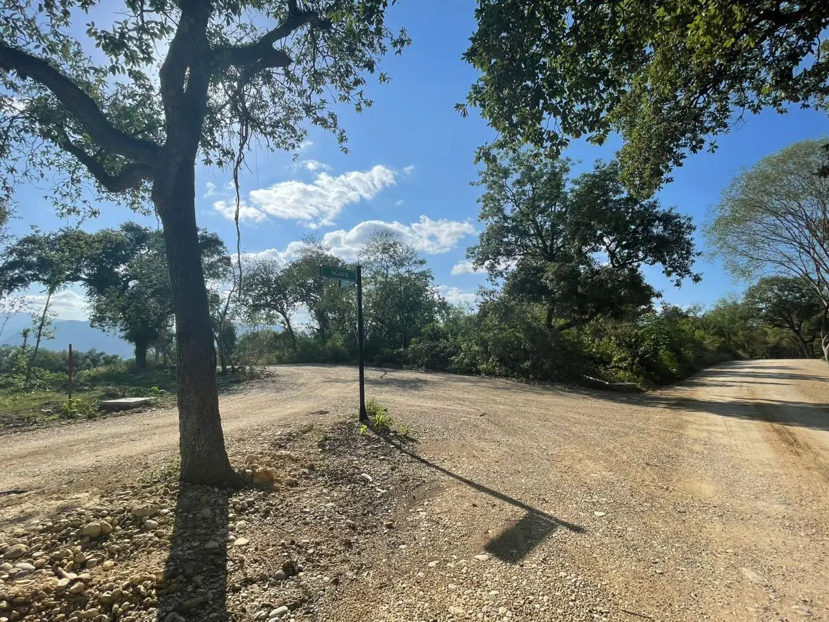 Terreno en venta en Congregación Calles, Montemorelos