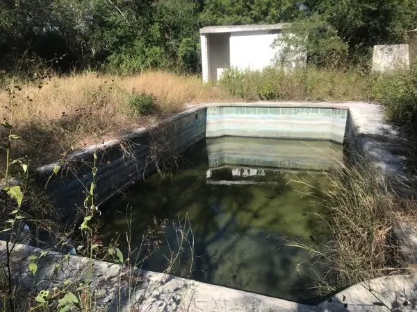 Terreno en venta en Montemorelos Centro, Montemorelos — foto 3 de 4