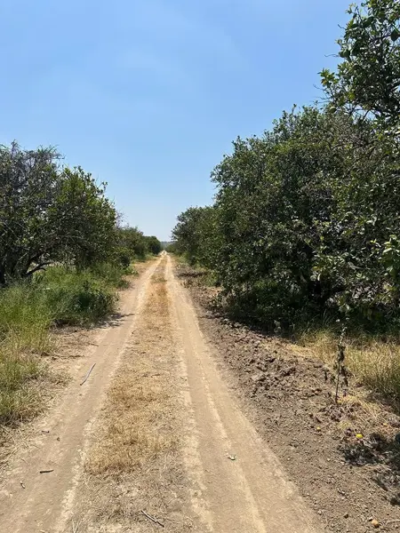 Terreno en venta en Linares Centro, Linares — foto 3 de 9