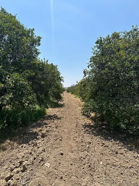 Terreno en venta en Linares Centro, Linares — foto 2 de 9