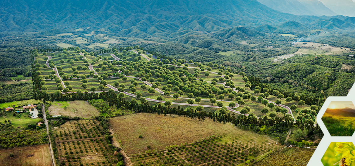 Terreno en venta en Lazarillos de Arriba, Allende — foto 1 de 6