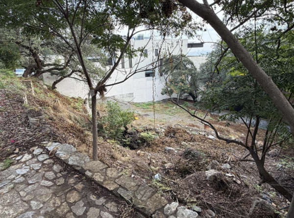 Terreno en venta en Valle de San Angel Sect Frances, San Pedro Garza García — foto 3 de 3
