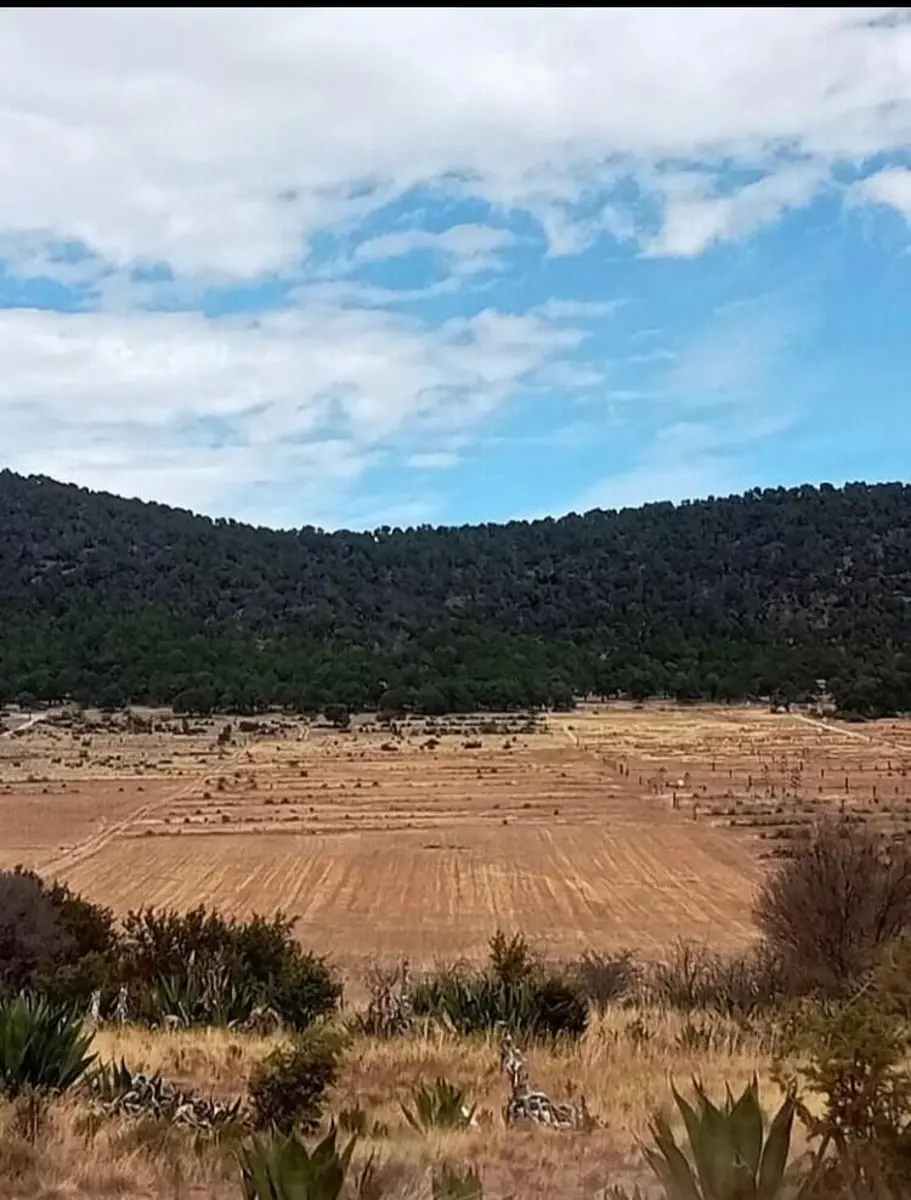 Terreno en venta en Huachichil (El Huache), Arteaga