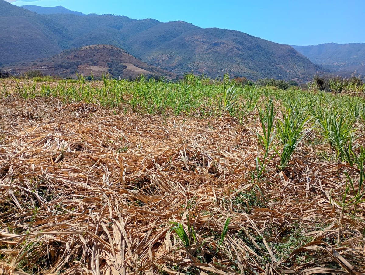 Terreno en venta en San Nicolás, Malinalco — foto 1 de 3