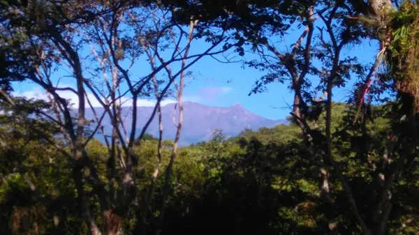Terreno en venta en Coatepec Centro, Coatepec — foto 3 de 12