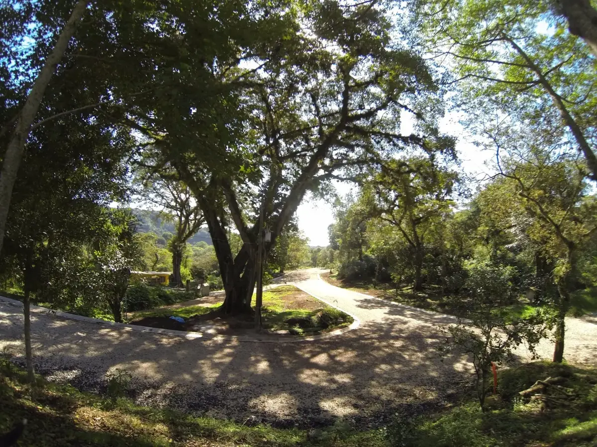 Terreno en venta en Coatepec Centro, Coatepec — foto 1 de 12