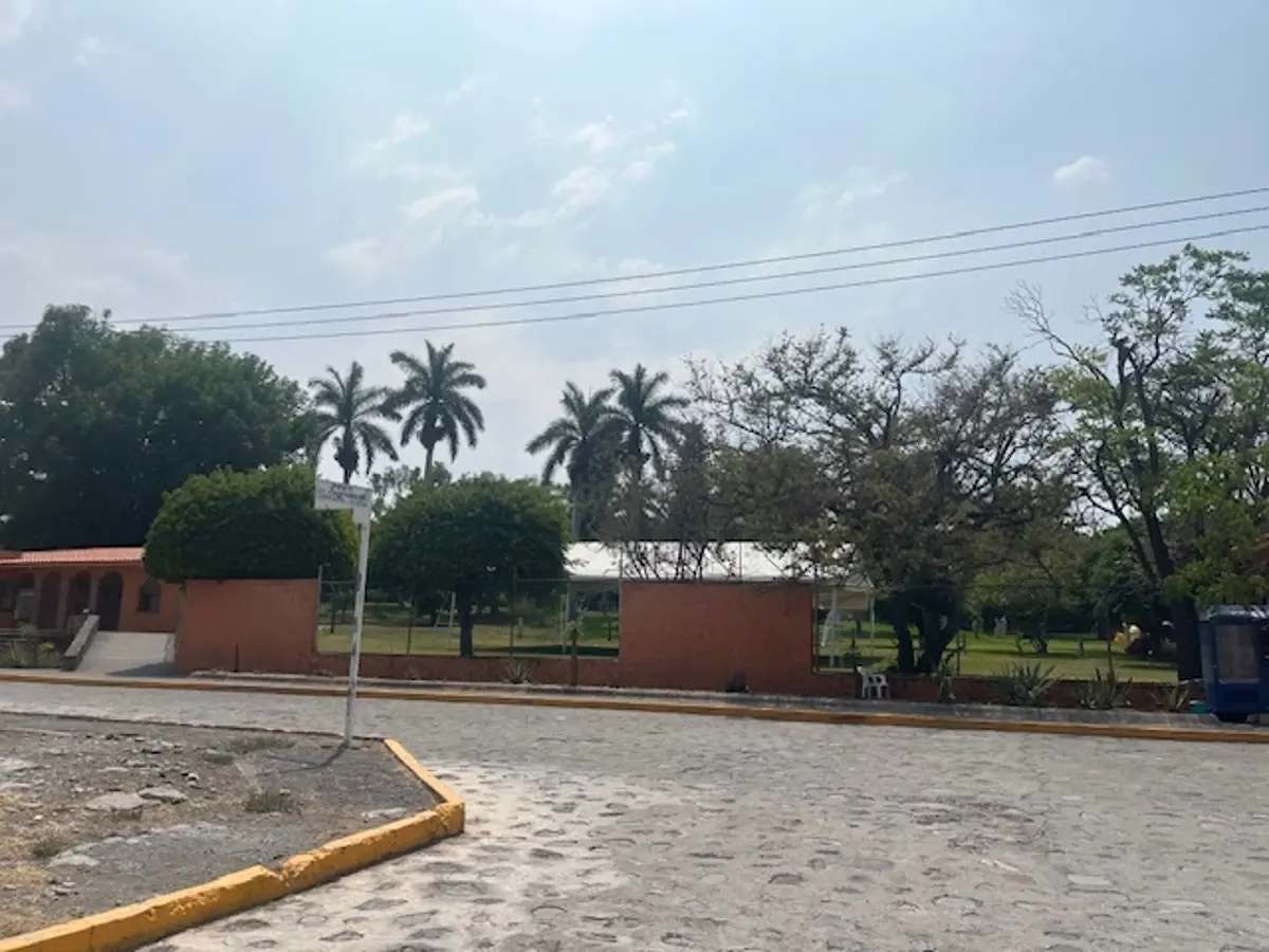 Terreno en venta en Tepexco, Tepexco — foto 1 de 7