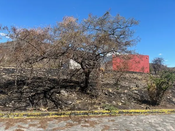 Terreno en venta en Tepexco, Tepexco — foto 3 de 7