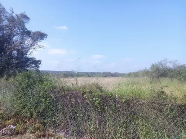 Terreno en venta en Montemorelos Centro, Montemorelos — foto 2 de 5