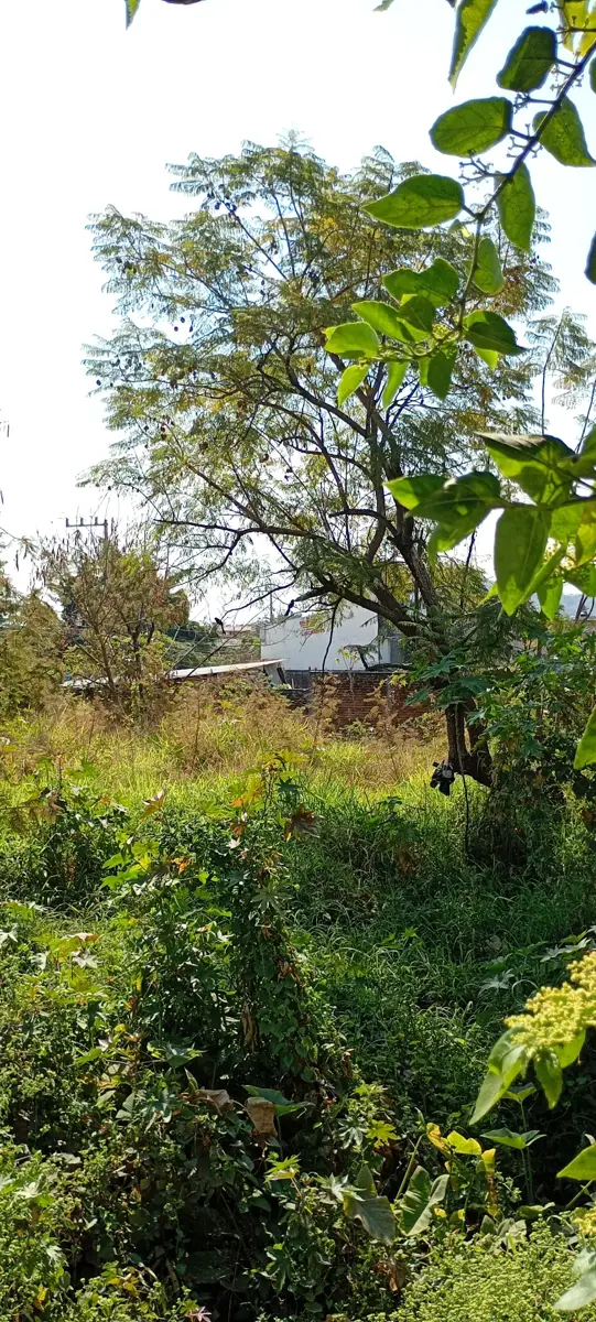 Terreno en renta en La Hacienda de Temixco, Temixco — foto 1 de 14
