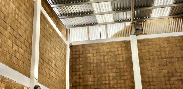 Bodega en renta en Valle de San Bernardo, León — foto 3 de 27