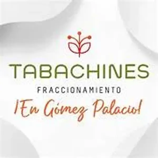Terreno en venta en Tabachines, Gómez Palacio — foto 2 de 2