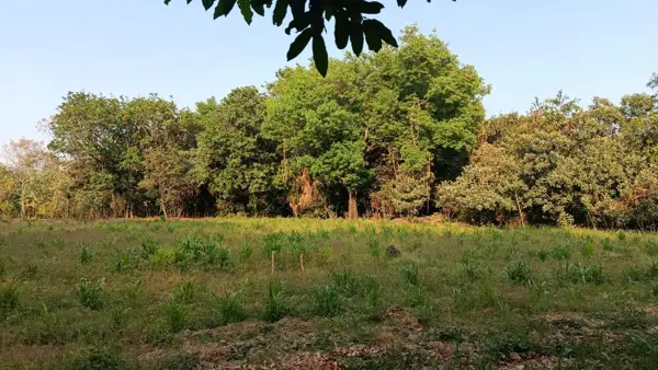 Terreno en venta en La Huerta, Malinalco — foto 3 de 13