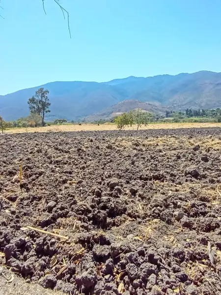 Terreno